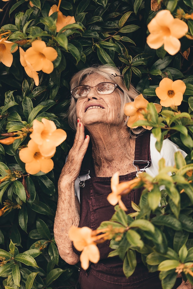 Quien puede contratar un seguro para retiro Ansiana en un jardin de flores